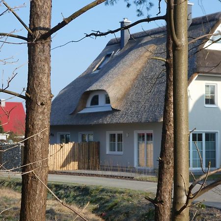 Kleine Seenixe Zingst Εξωτερικό φωτογραφία